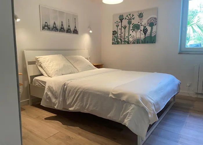 Bordure De Foret Saint-Vincent-de-Tyrosse