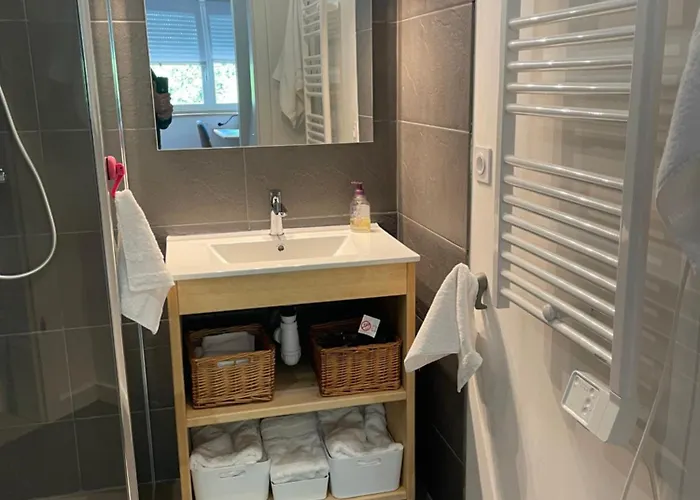 Bordure De Foret Apartment Saint-Vincent-de-Tyrosse