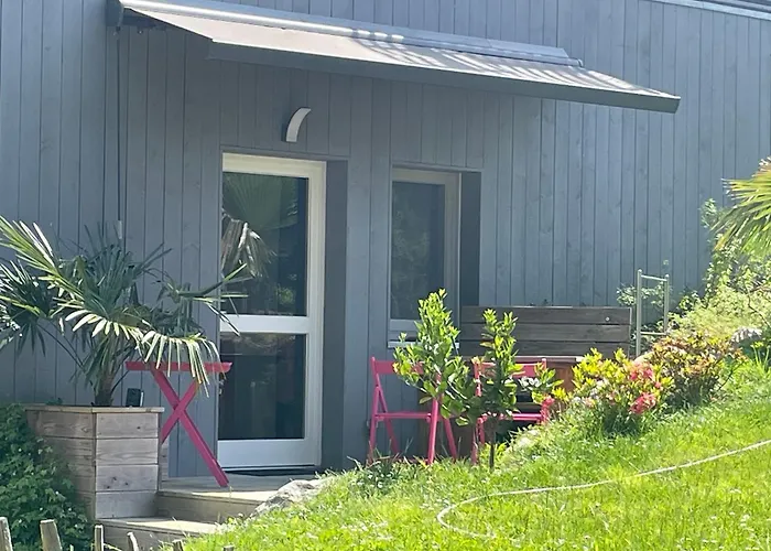 Bordure De Foret * Saint-Vincent-de-Tyrosse